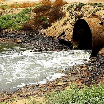 Росприроднадзор через суд потребовал от администрации Махачкалы возместить вред, нанесенный Каспийскому морю на сумму более 3 млн рублей